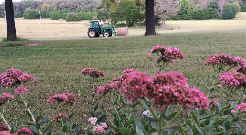 capturing everyday moments from my front door